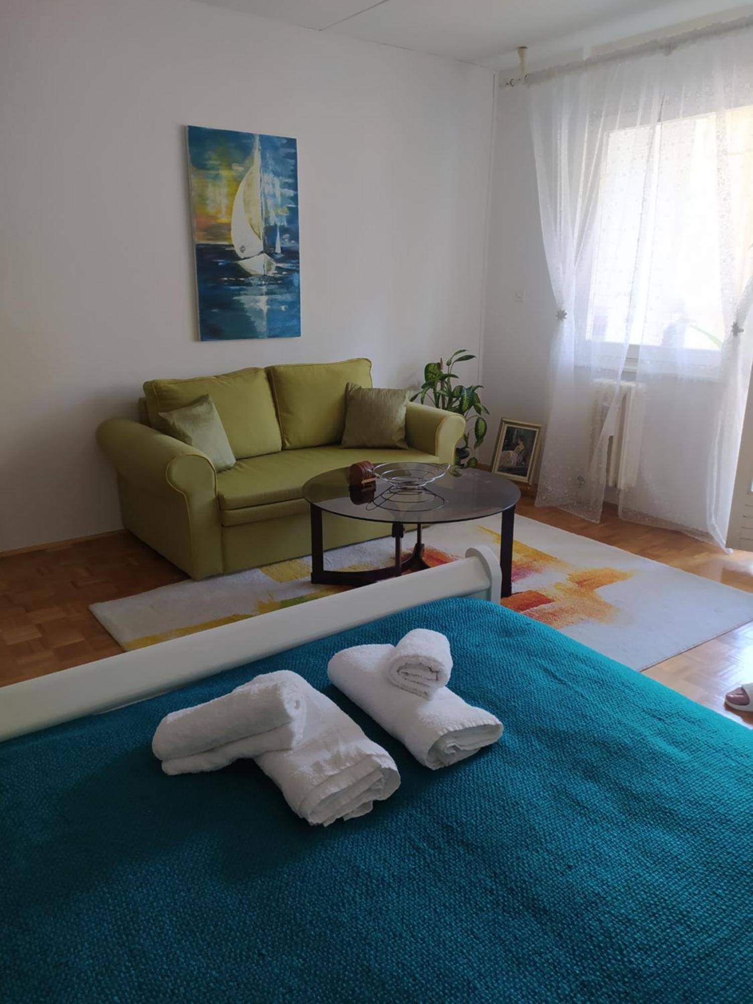 Alea Studio Apartment&Garage In The Heart Of Szarajevó Kültér fotó